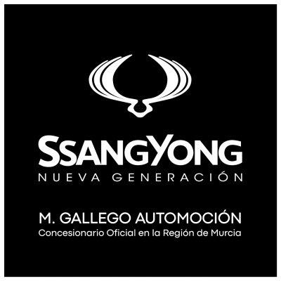 LOGO SSANGYONG + GRUPO-01